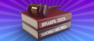 Какие законы вступят в силу в декабре 2024 года в России?